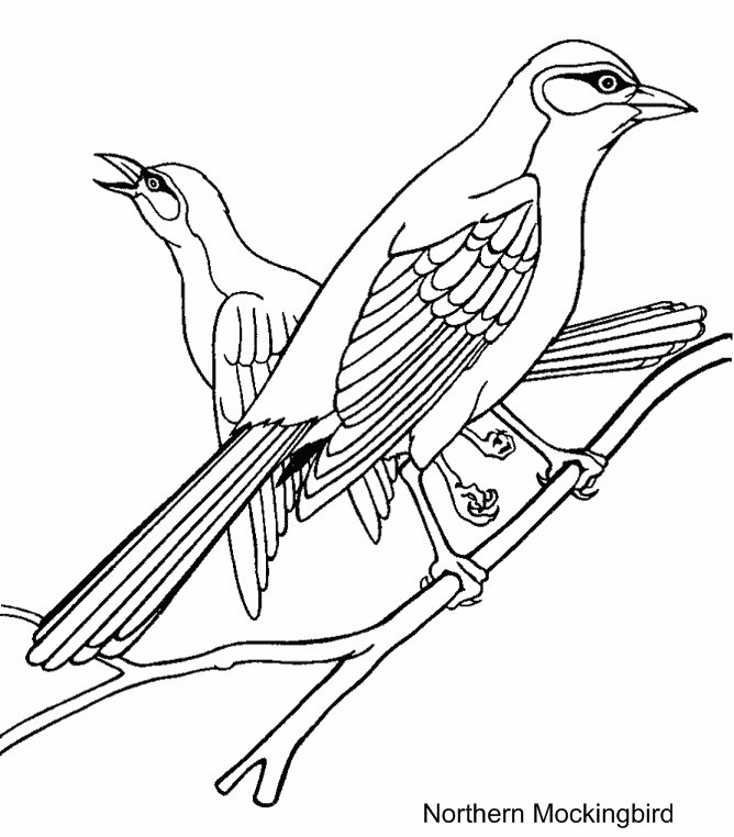 Dibujo para colorear: Aves (Animales) #11871 - Dibujos para Colorear e Imprimir Gratis