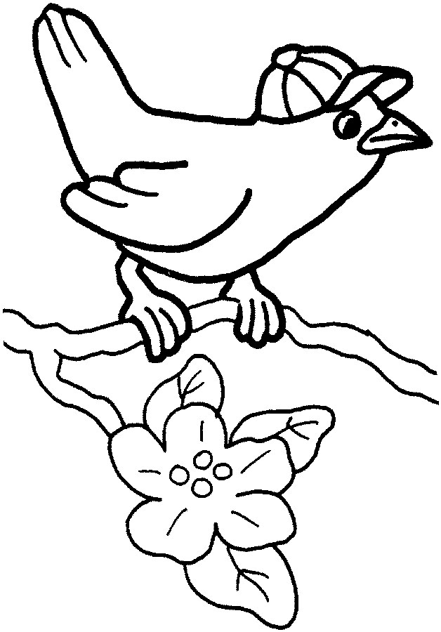 Dibujo para colorear: Aves (Animales) #12070 - Dibujos para Colorear e Imprimir Gratis
