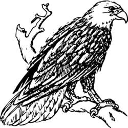 Dibujo para colorear: Águila (Animales) #292 - Dibujos para Colorear e Imprimir Gratis