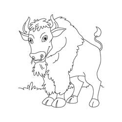 Dibujo para colorear: Bisonte (Animales) #1219 - Dibujos para Colorear e Imprimir Gratis