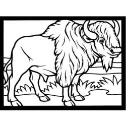 Dibujo para colorear: Bisonte (Animales) #1228 - Dibujos para Colorear e Imprimir Gratis