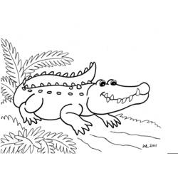 Dibujo para colorear: Caimán (Animales) #396 - Dibujos para Colorear e Imprimir Gratis