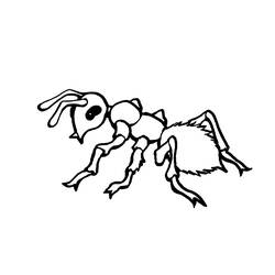 Dibujo para colorear: Hormiga (Animales) #7001 - Dibujos para Colorear e Imprimir Gratis