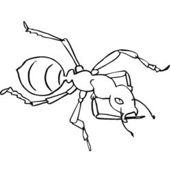 Dibujo para colorear: Hormiga (Animales) #7019 - Dibujos para Colorear e Imprimir Gratis