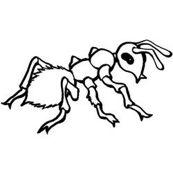 Dibujo para colorear: Hormiga (Animales) #7085 - Dibujos para Colorear e Imprimir Gratis