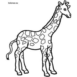 Dibujo para colorear: Jirafa (Animales) #7261 - Dibujos para Colorear e Imprimir Gratis