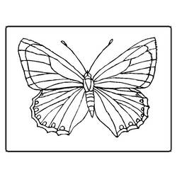 Dibujo para colorear: Mariposa (Animales) #15663 - Dibujos para Colorear e Imprimir Gratis