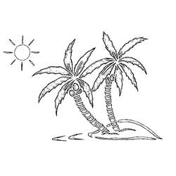 Dibujo para colorear: Palma (Naturaleza) #161114 - Dibujos para Colorear e Imprimir Gratis