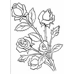 Dibujo para colorear: Rosas (Naturaleza) #161886 - Dibujos para Colorear e Imprimir Gratis