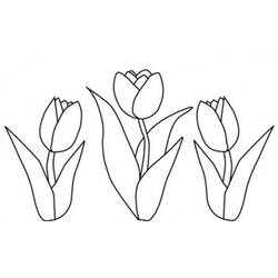 Dibujo para colorear: Tulipán (Naturaleza) #161755 - Dibujos para Colorear e Imprimir Gratis