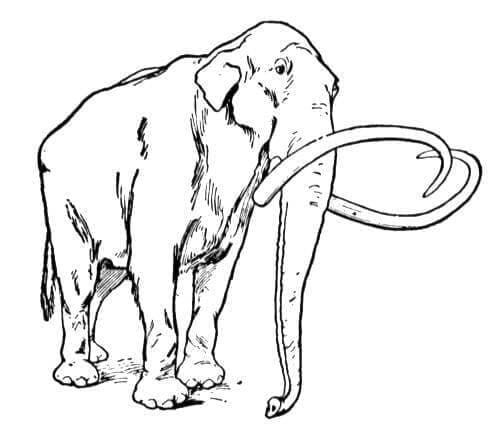 Dibujo gratuito Mamut #212540 de la coleccion Animales Prehistóricos para imprimir