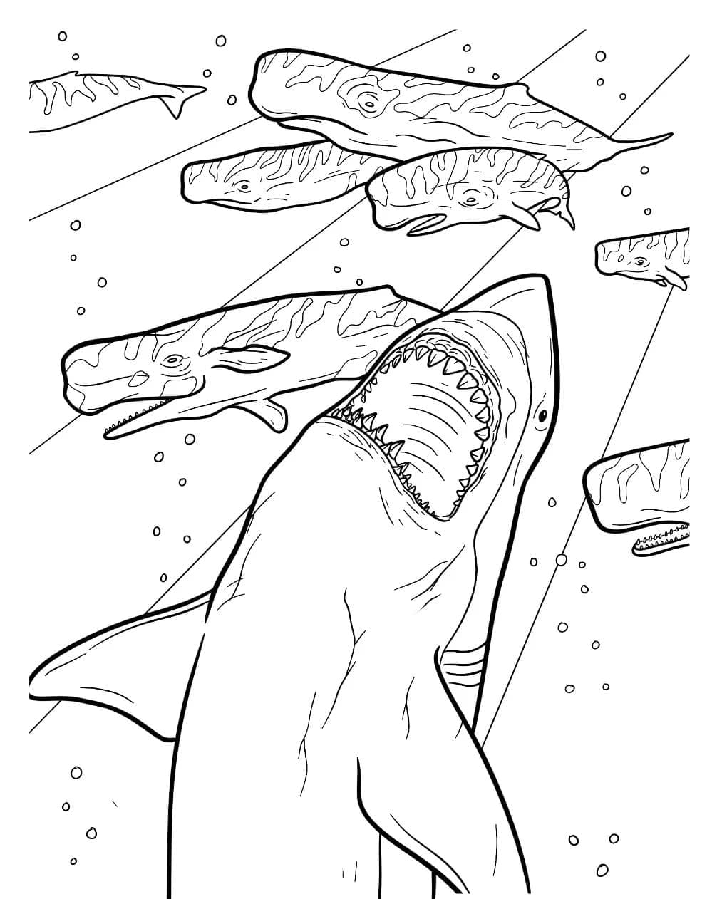 Dibujo gratuito Megalodón #220708 de la coleccion Animales Prehistóricos para imprimir