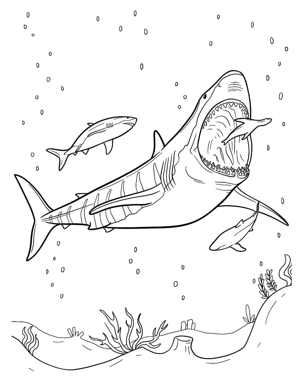 Dibujo gratuito Megalodón #220710 de la coleccion Animales Prehistóricos para imprimir