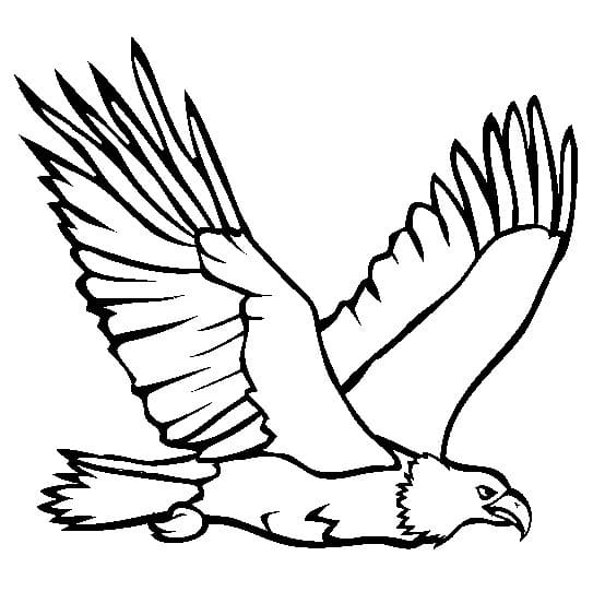 Dibujo gratuito Águila #185165 de la coleccion Animales para imprimir