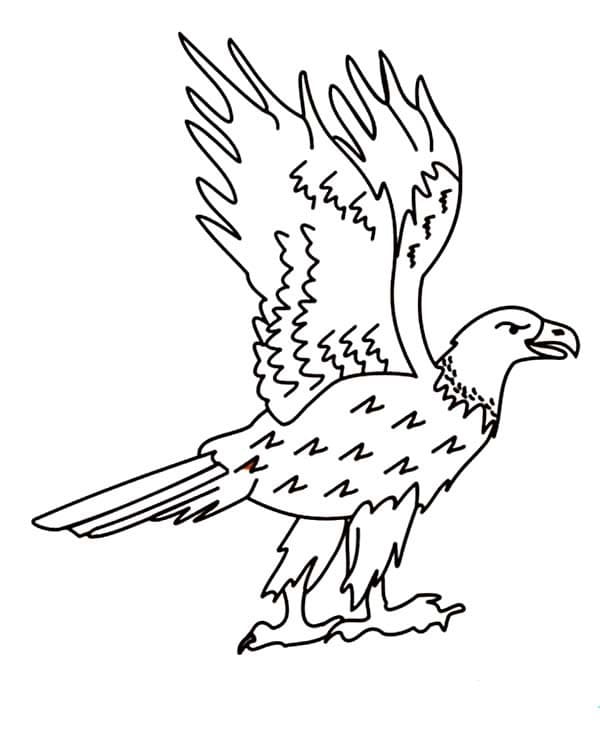 Dibujo gratuito Águila #185184 de la coleccion Animales para imprimir