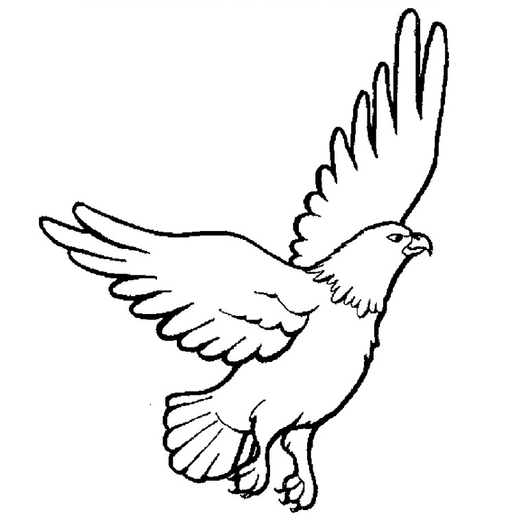 Dibujo para colorear: Águila (Animales) #275 - Dibujos para Colorear e Imprimir Gratis