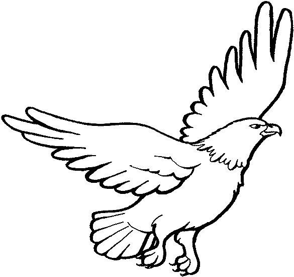 Dibujo para colorear: Águila (Animales) #284 - Dibujos para Colorear e Imprimir Gratis