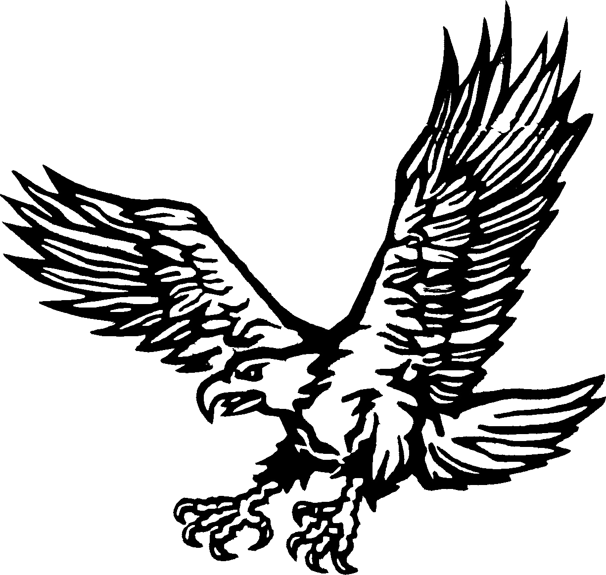 Dibujo para colorear: Águila (Animales) #288 - Dibujos para colorear