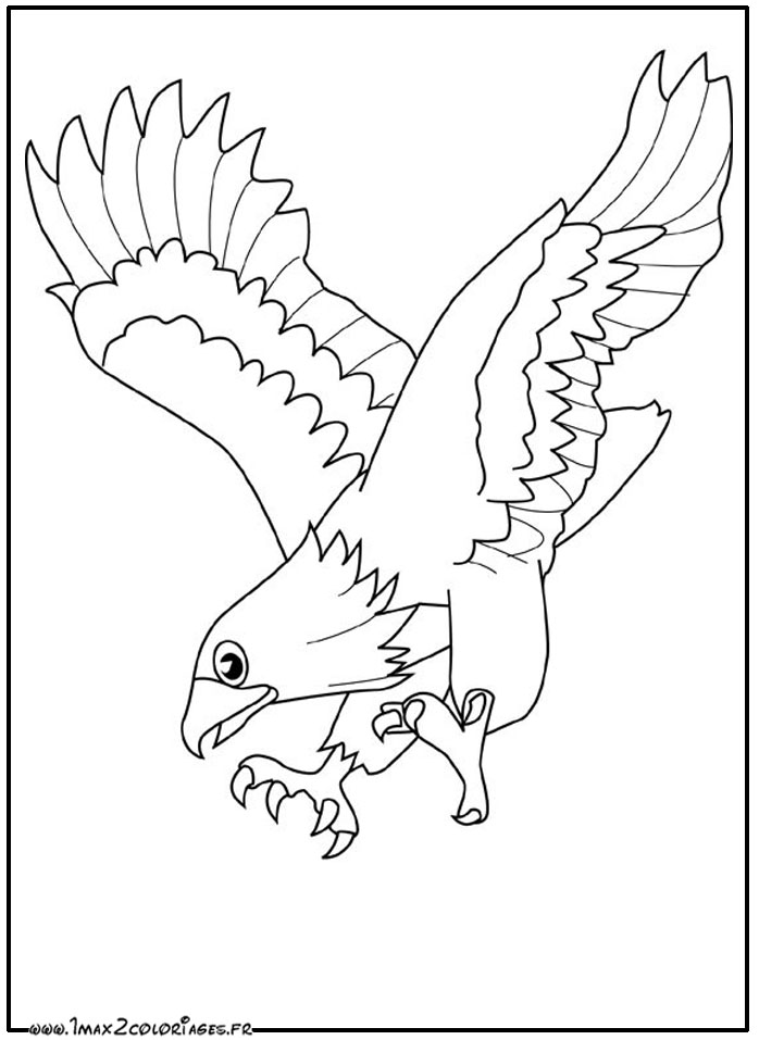 Dibujo para colorear: Águila (Animales) #290 - Dibujos para Colorear e Imprimir Gratis