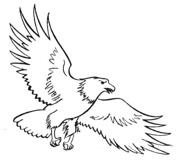 Dibujo para colorear: Águila (Animales) #318 - Dibujos para colorear