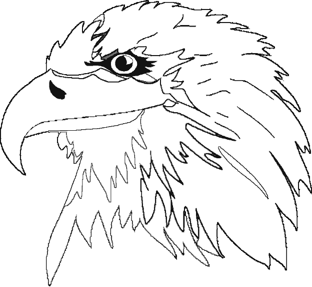Dibujo para colorear: Águila (Animales) #341 - Dibujos para colorear
