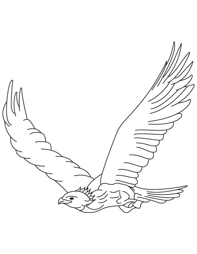 Dibujo para colorear: Águila (Animales) #353 - Dibujos para Colorear e Imprimir Gratis