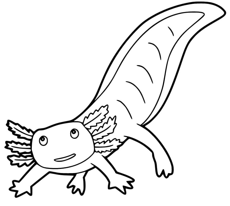Dibujo gratuito Ajolote #184573 de la coleccion Animales para imprimir