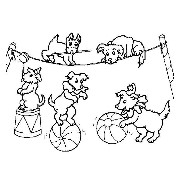 Dibujo para colorear: Animales de circo (Animales) #20780 - Dibujos para colorear