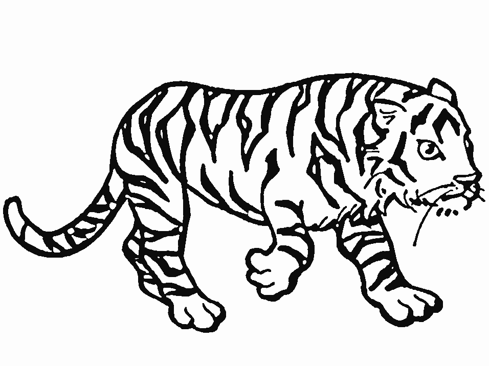 Dibujo para colorear: Animales de circo (Animales) #20795 - Dibujos para Colorear e Imprimir Gratis