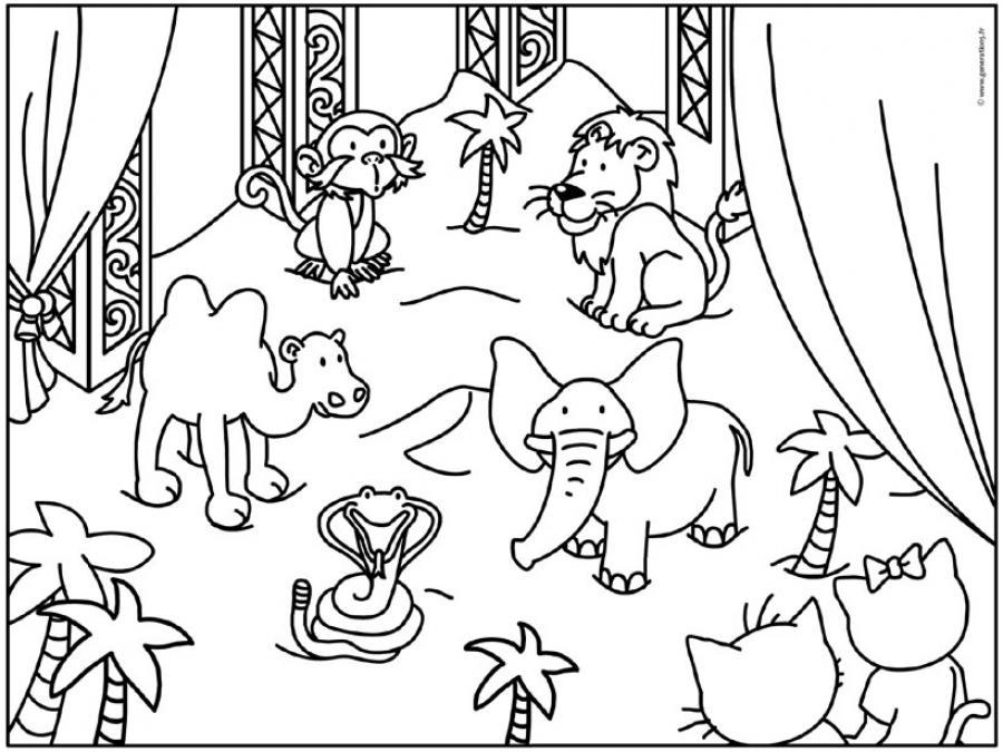 Dibujo para colorear: Animales de circo (Animales) #20891 - Dibujos para colorear
