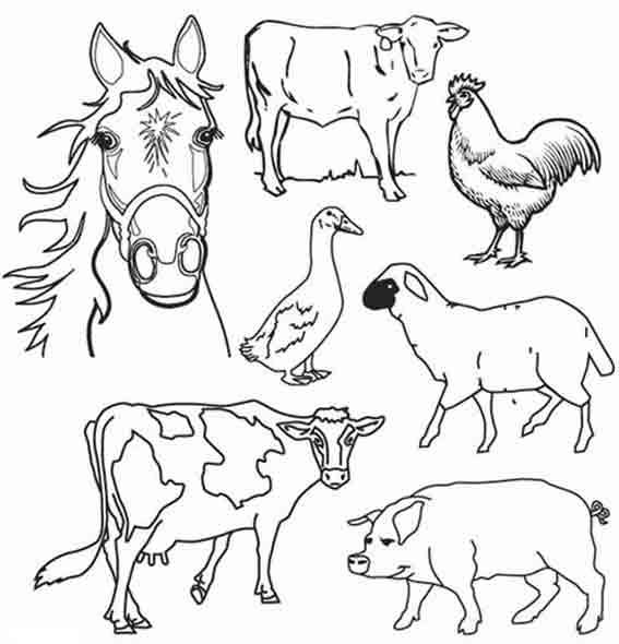 Dibujo para colorear: Animales de granja (Animales) #21381 - Dibujos para Colorear e Imprimir Gratis