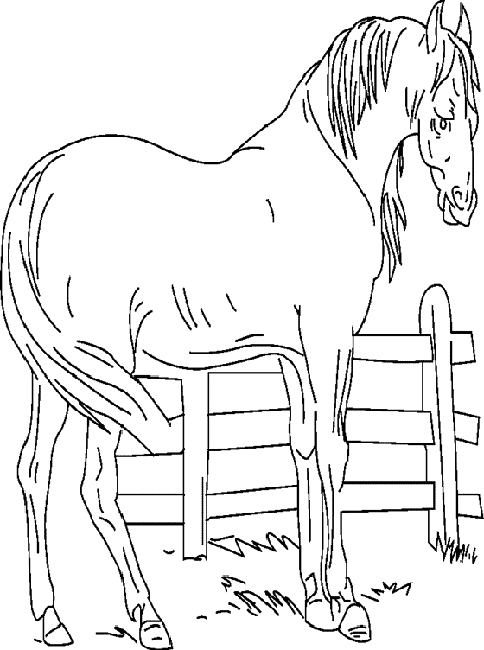 Dibujo para colorear: Animales de granja (Animales) #21399 - Dibujos para colorear