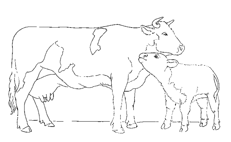 Dibujo para colorear: Animales de granja (Animales) #21405 - Dibujos para Colorear e Imprimir Gratis