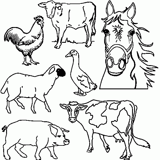 Dibujo para colorear: Animales de granja (Animales) #21427 - Dibujos para colorear