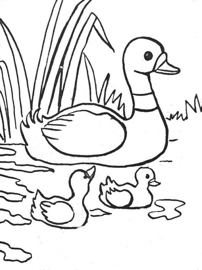 Dibujo para colorear: Animales de granja (Animales) #21488 - Dibujos para Colorear e Imprimir Gratis