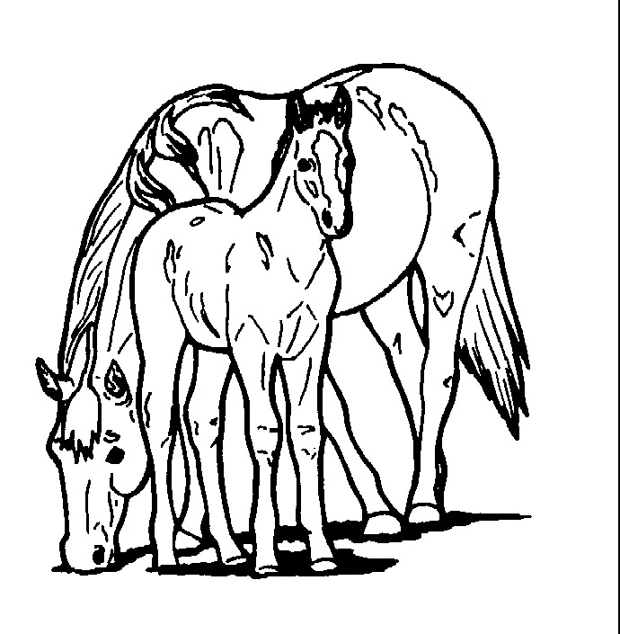 Dibujo para colorear: Animales de granja (Animales) #21549 - Dibujos para Colorear e Imprimir Gratis