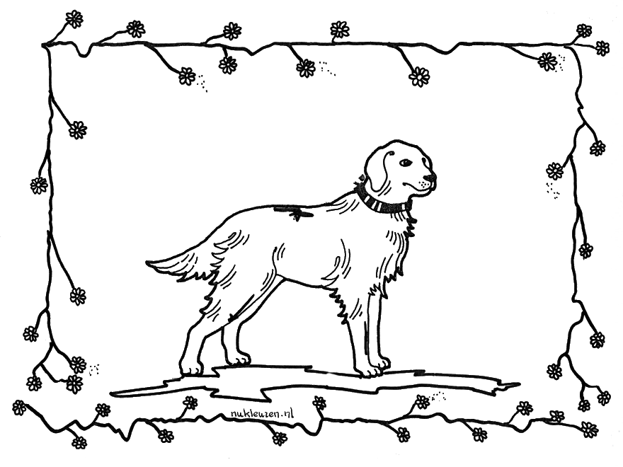 Dibujo para colorear: Animales de granja (Animales) #21558 - Dibujos para Colorear e Imprimir Gratis