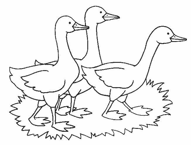 Dibujo para colorear: Animales de granja (Animales) #21584 - Dibujos para Colorear e Imprimir Gratis