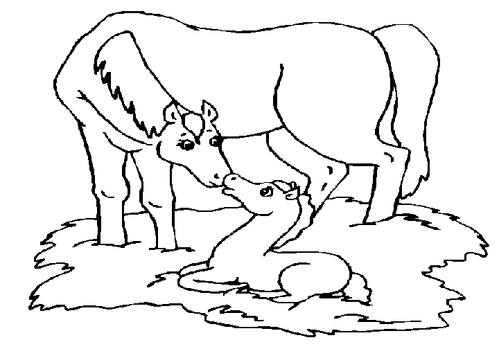Dibujo para colorear: Animales de granja (Animales) #21612 - Dibujos para colorear