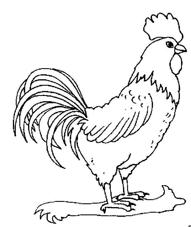 Dibujo para colorear: Animales de granja (Animales) #21628 - Dibujos para colorear