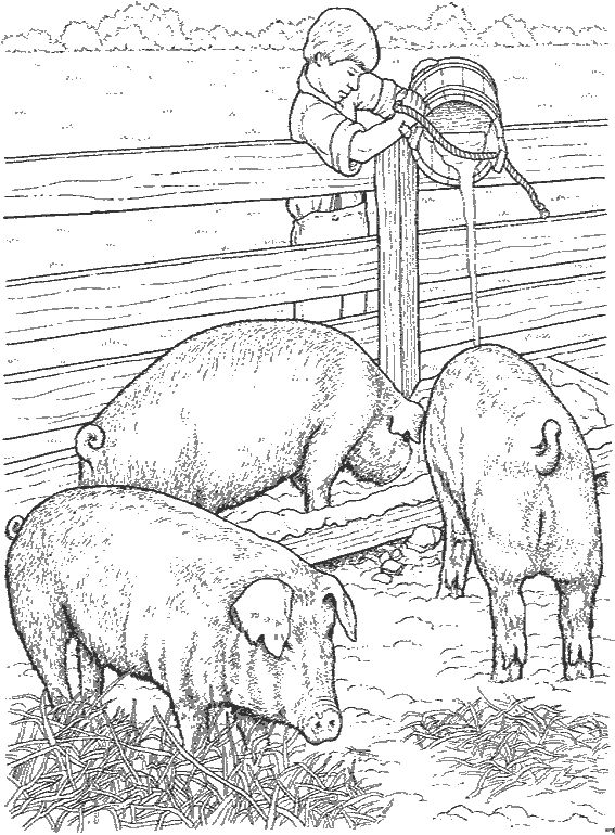 Dibujo para colorear: Animales de granja (Animales) #21639 - Dibujos para colorear