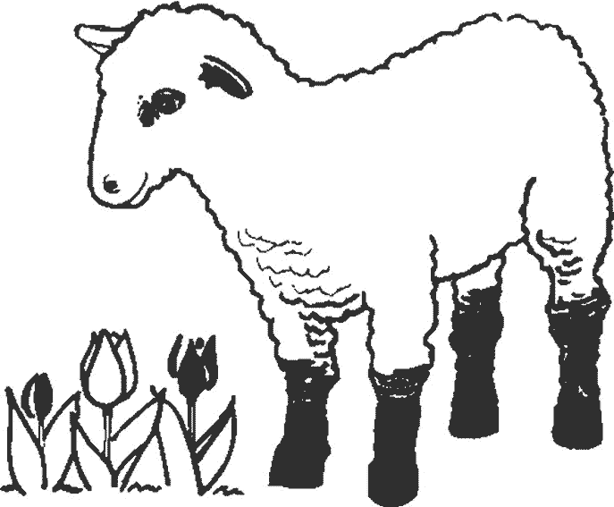 Dibujo para colorear: Animales de granja (Animales) #21645 - Dibujos para Colorear e Imprimir Gratis