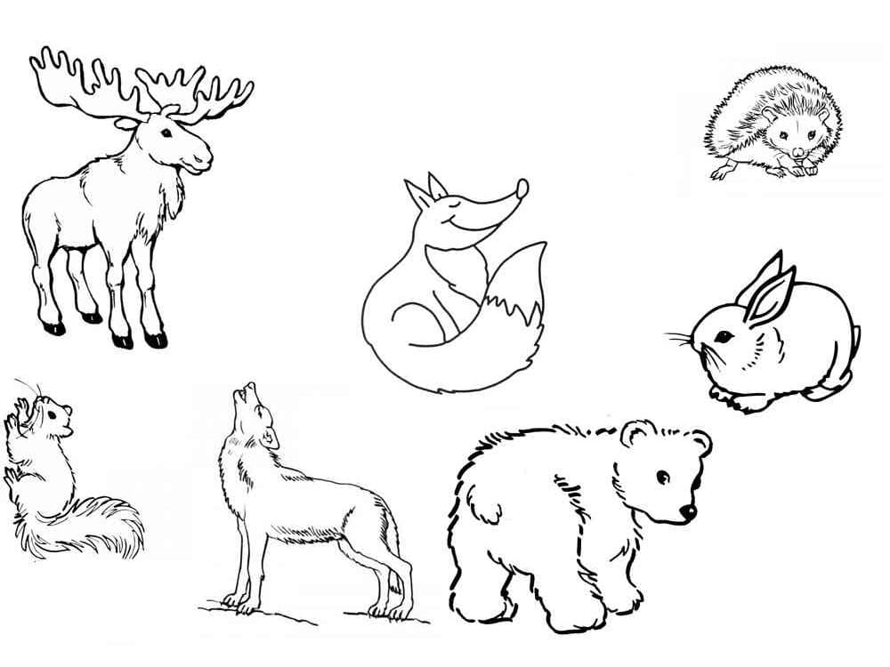 Dibujo gratuito Animales del Bosque #192056 de la coleccion Animales para imprimir Dibujo gratuito Animales del Bosque #192056 de la coleccion Animales para imprimir