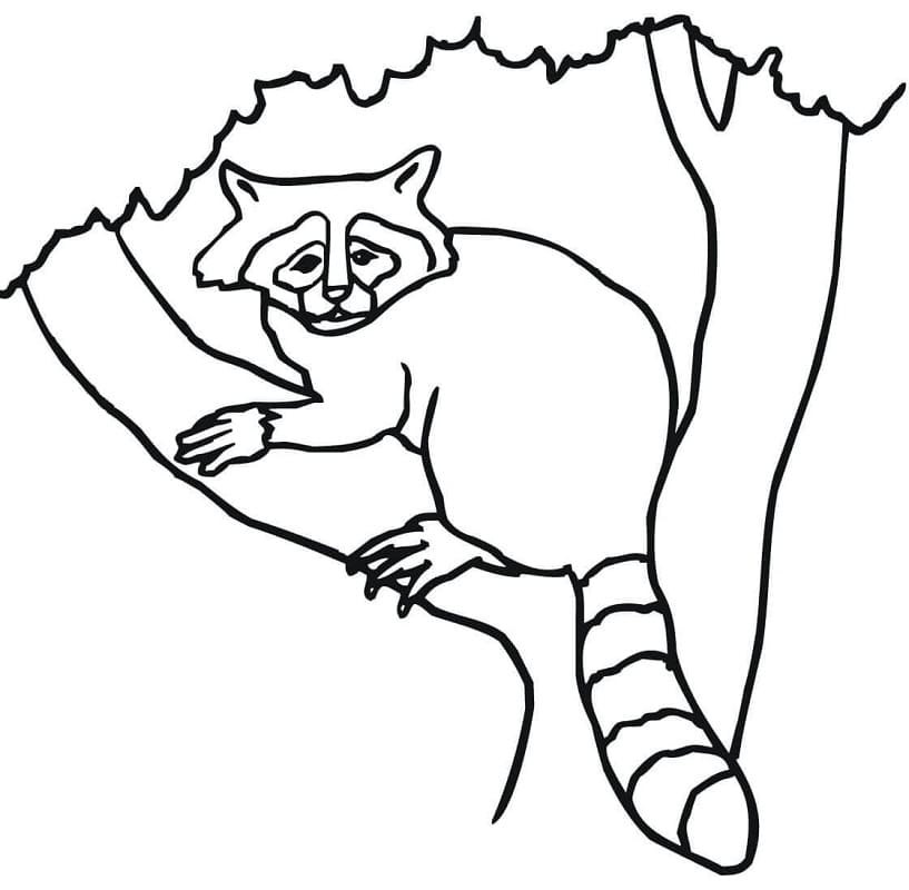 Dibujo gratuito Animales del Bosque #192068 de la coleccion Animales para imprimir