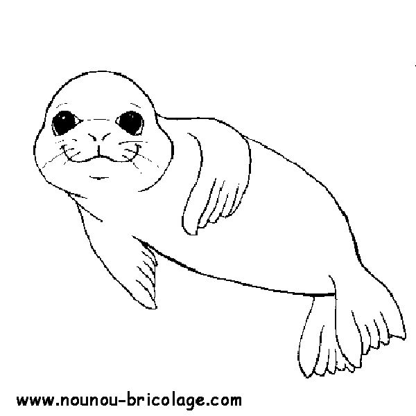 Dibujo para colorear: Animales marinos (Animales) #21994 - Dibujos para colorear
