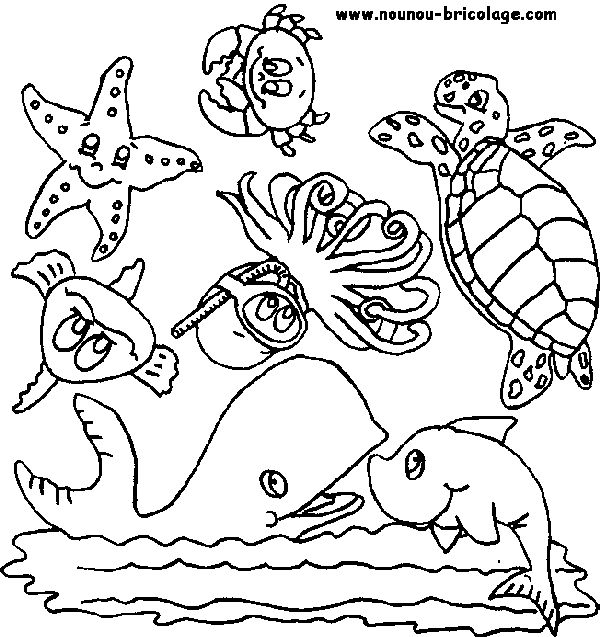 Dibujo para colorear: Animales marinos (Animales) #22007 - Dibujos para colorear
