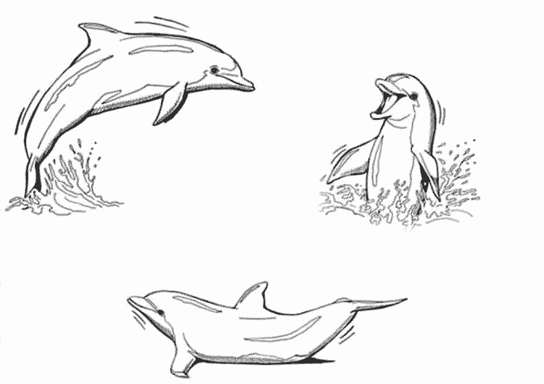 Dibujo para colorear: Animales marinos (Animales) #22026 - Dibujos para Colorear e Imprimir Gratis