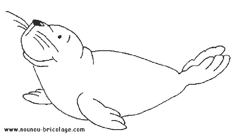 Dibujo para colorear: Animales marinos (Animales) #22035 - Dibujos para Colorear e Imprimir Gratis