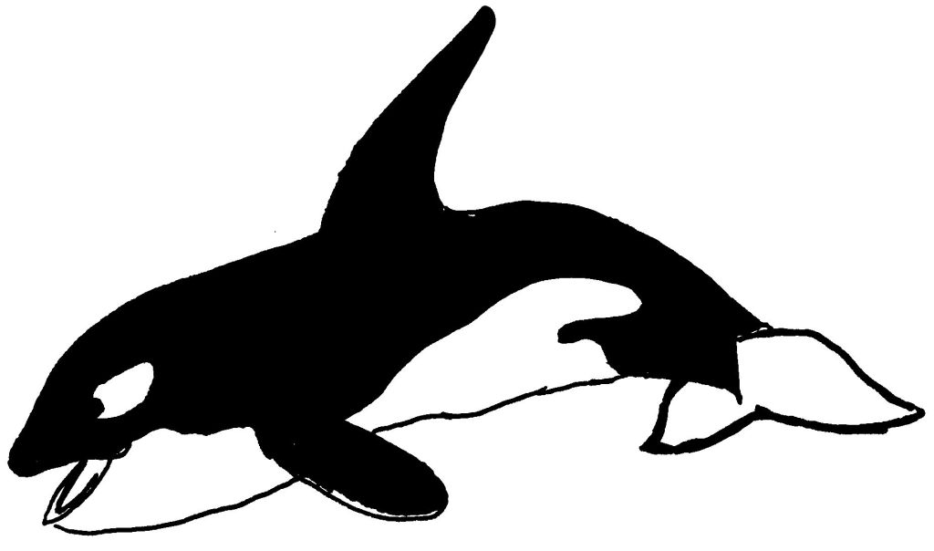 Dibujo para colorear: Animales marinos (Animales) #22084 - Dibujos para colorear