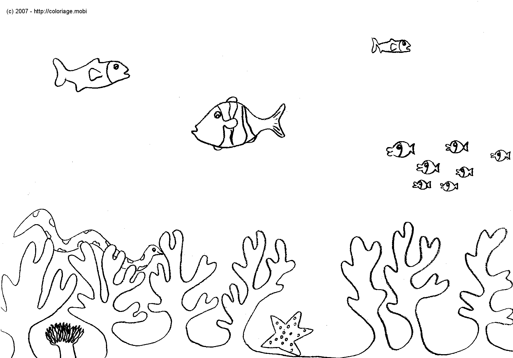 Dibujo para colorear: Animales marinos (Animales) #22119 - Dibujos para Colorear e Imprimir Gratis